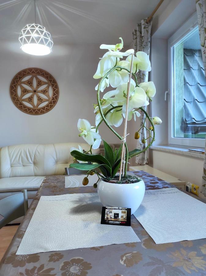 Apartamentylove - Apartament Oliwia Zakopane Esterno foto
